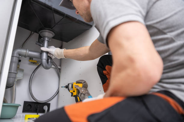 Best Plumbing System Maintenance  in Williamston, MI